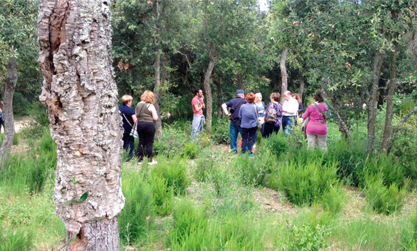 retecork-que-hacemos-proyectos-corklandtour