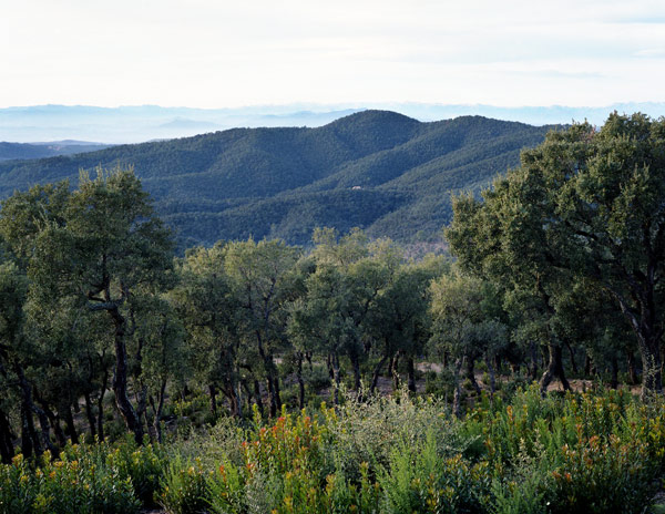 retecork-que-hacemos-proyectos-territorios-corcheros-2